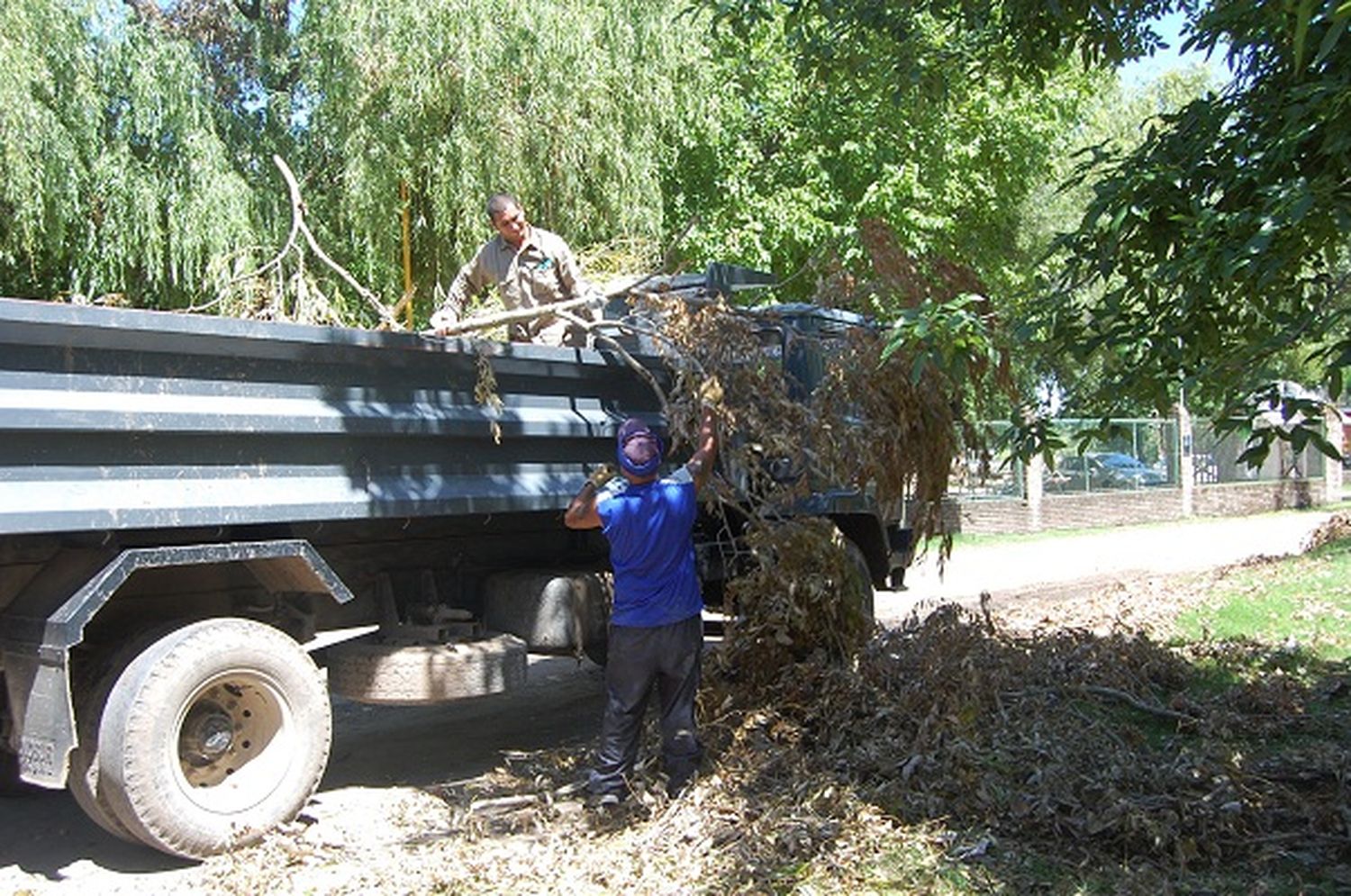 Post temporal: el Municipio aplicó un operativo en las zonas afectadas
