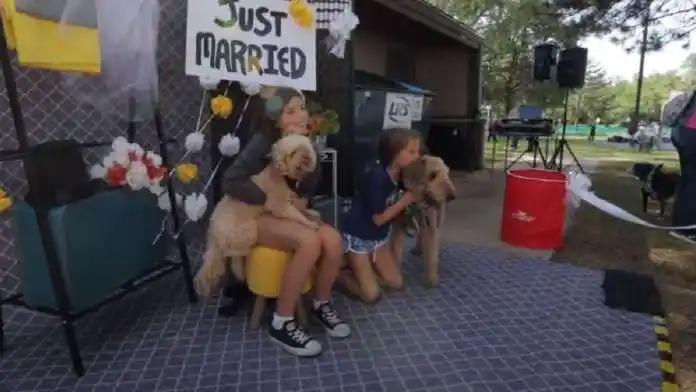 Boda de perros