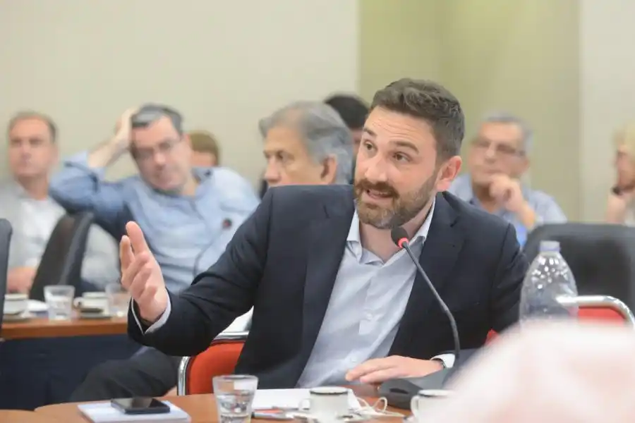 Estévez: "El dictamen es un avance para seguir trabajando y que la ley de humedales sea una realidad"