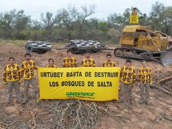 Greenpeace denunció brutal desmonte durante la cuarentena en la Argentina