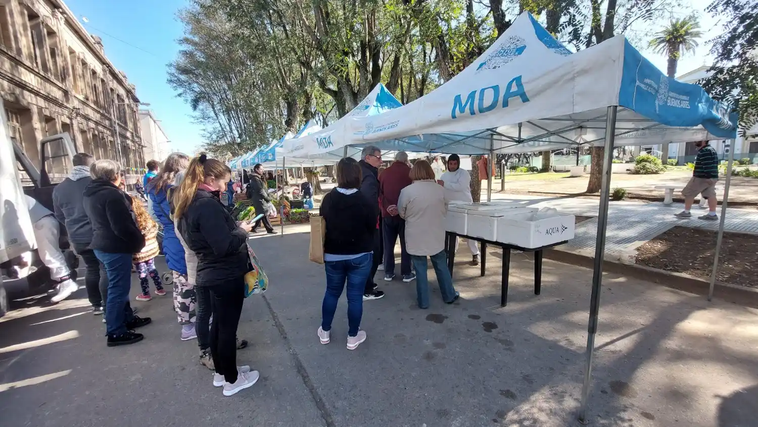 Pescado en el camión: cuánto cuesta en la pescadería la merluza que venden en la feria