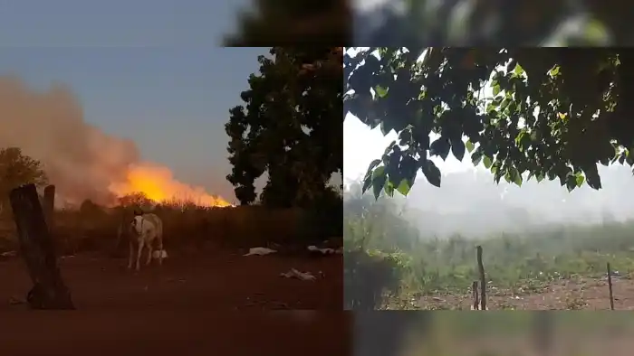 La Tosquera: entre fuego y humo