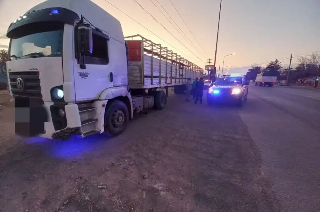 Detienen a un camionero por manejar borracho en Venado Tuerto