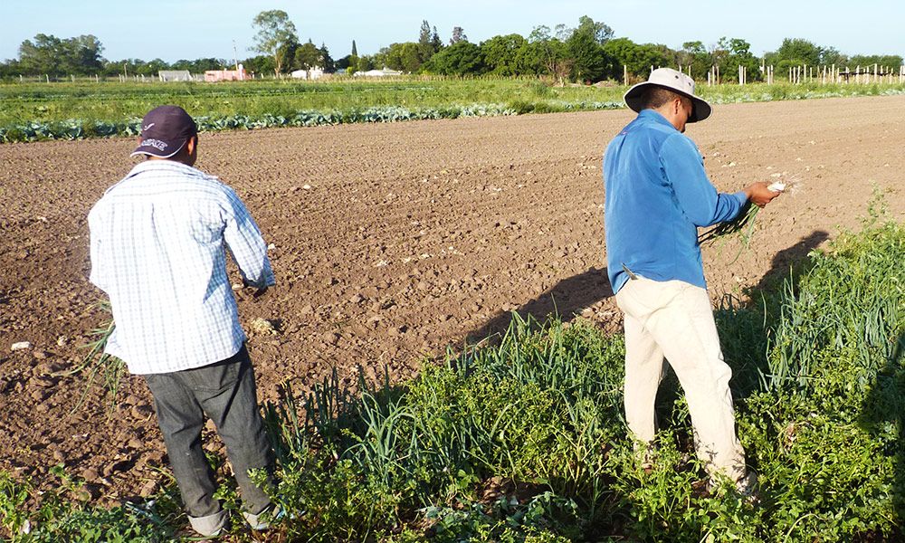 El sindicato de trabajadores rurales acordó un aumento salarial del 70%