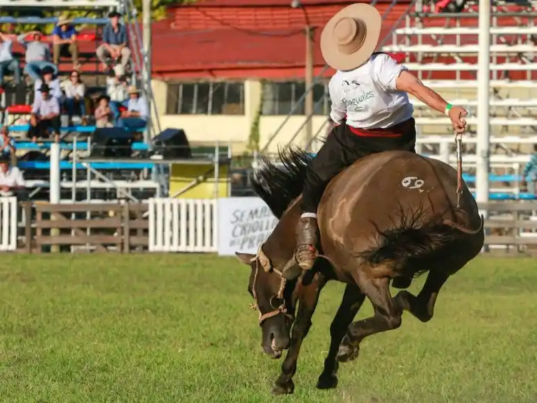 Un joven entrerriano fue internado en terapia intensiva tras caer del caballo durante una jineteada