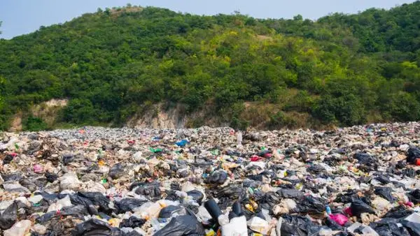 Por una América Latina más Verde: "La campaña busca promover el compromiso con el ambiente"