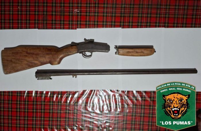 Un presidente comunal denunció la faena ilegal de un animal de una empresa agropecuaria - 3