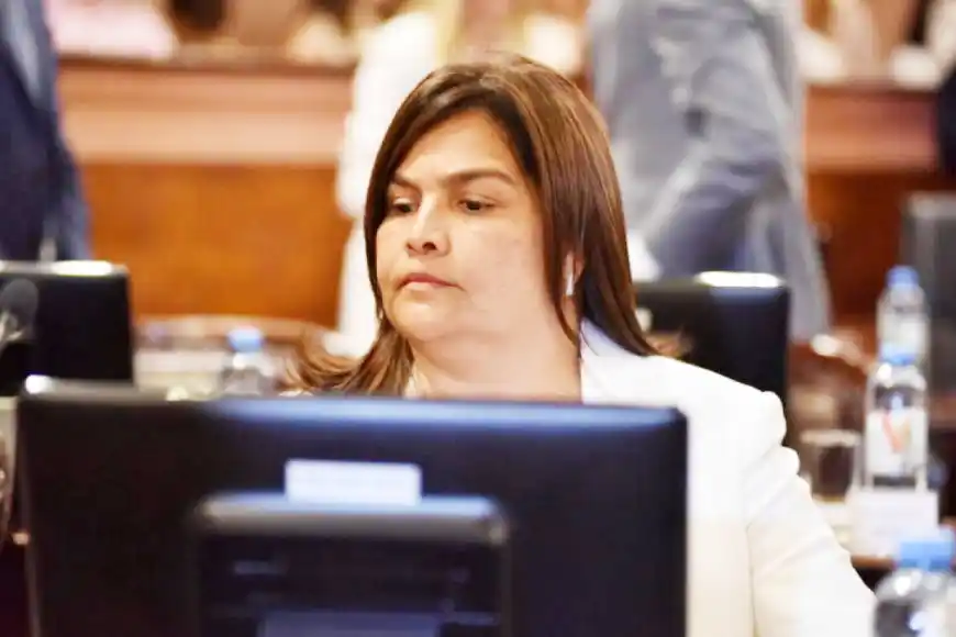La diputada Mariel Ávila repudió a Milei por burlarse  del Síndrome de Down: “¿Cuál es el límite?