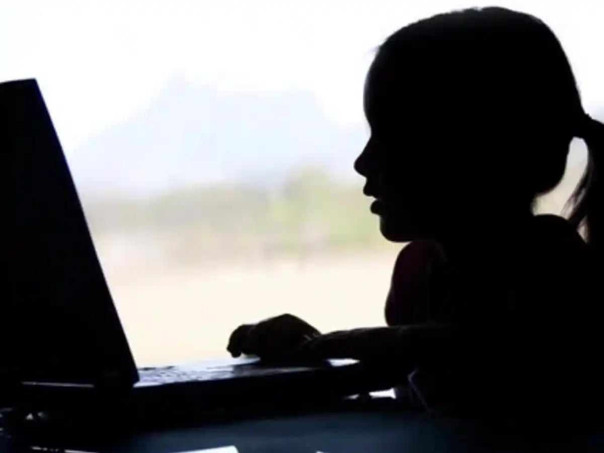Los chicos y el riesgo de sufrir  acoso a través de Internet 