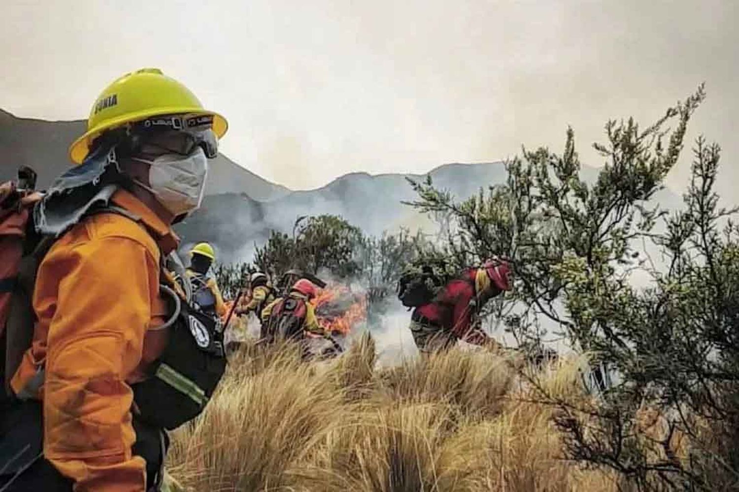 Por los incendios en Córdoba declararon la emergencia ambiental