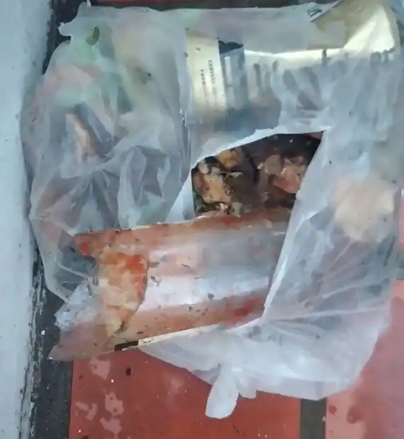 Otra vez: un recolector se cortó con una botella rota y debió recibir 12 puntos de sutura