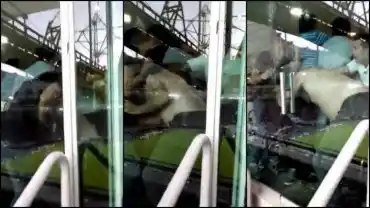 Sancionaron a un jugador y un directivo de Gimnasia tras el escándalo en el clásico de La Plata