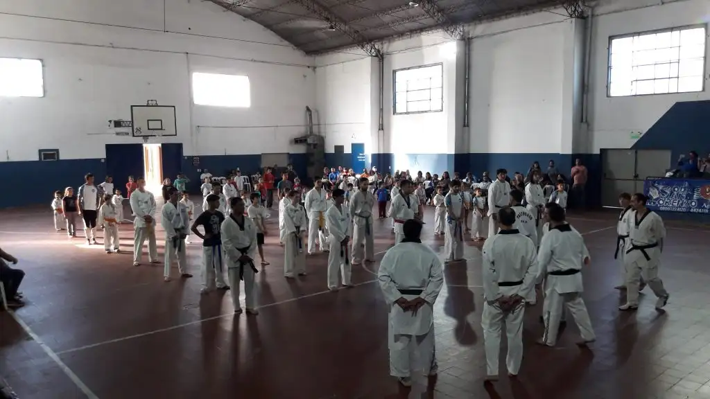 El taekwondo, a pleno