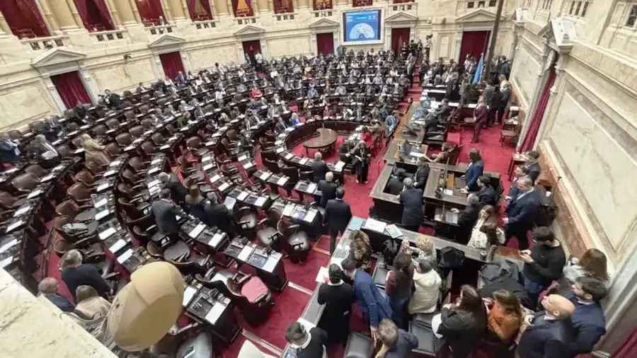 La iniciativa obtuvo media sanción con 144 votos afirmativos.