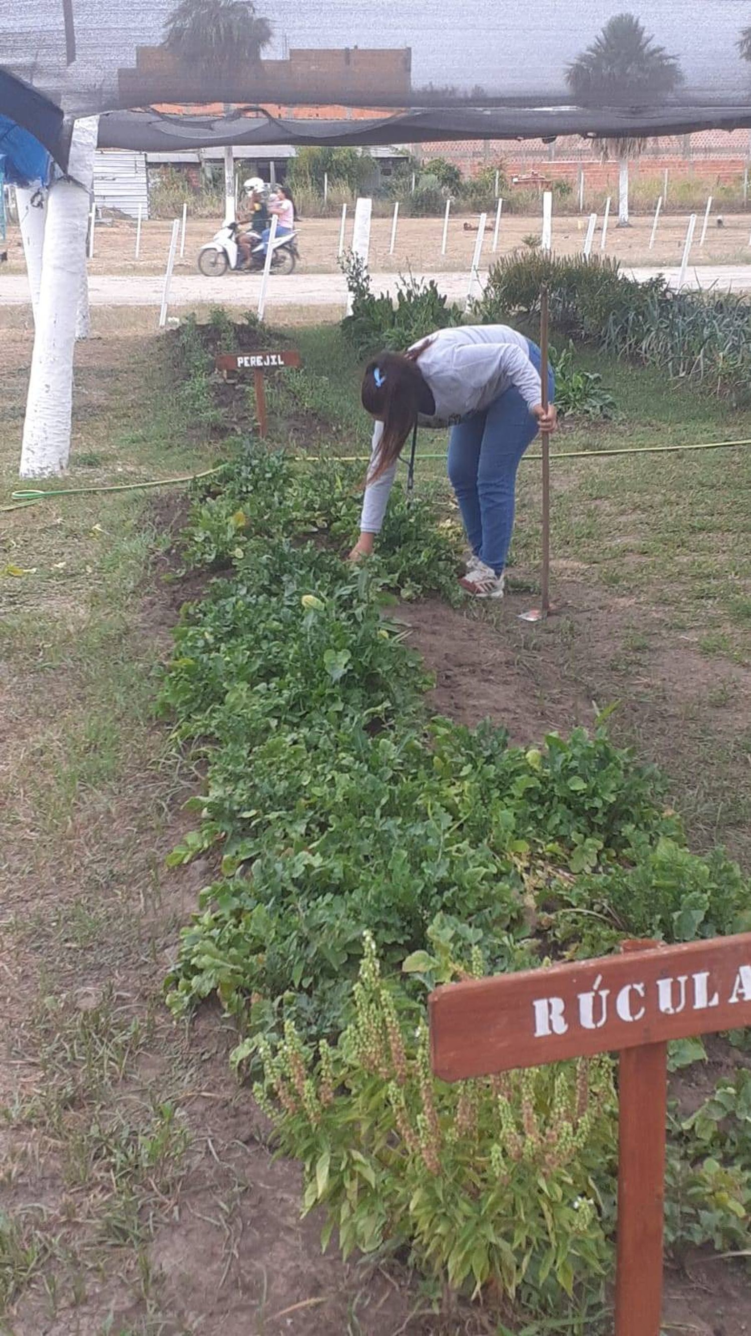 Mujer rescatada de red de explotación 
sexual accede a trabajo en la Municipalidad