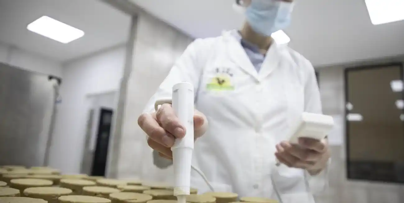 La producción de limentos marcó una leve mejoría en el tercer mes del año. Foto: Xinhua/Martín Zabala