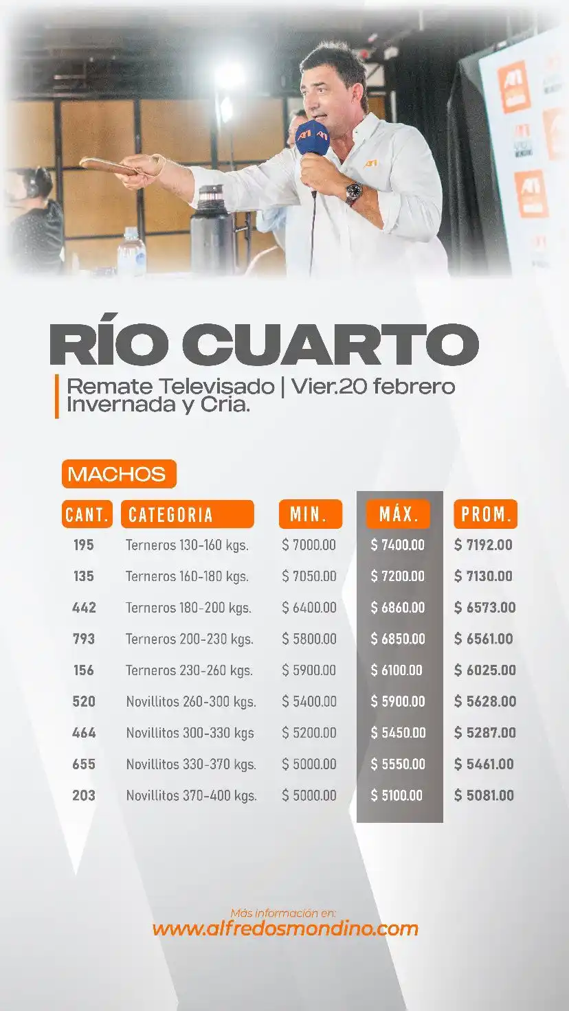 terneros rio cuarto