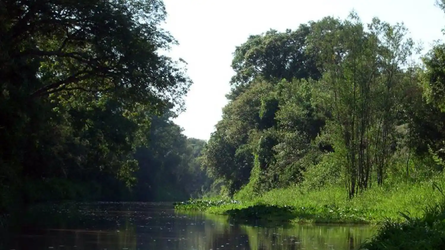 La provincia celebra el Día Mundial de los Humedales