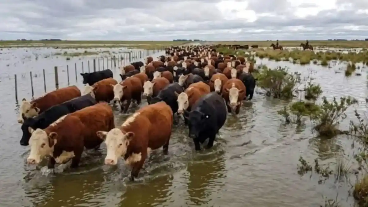 Piden asistencia urgente para productores de siete departamentos entrerrianos ante el avance del agua
