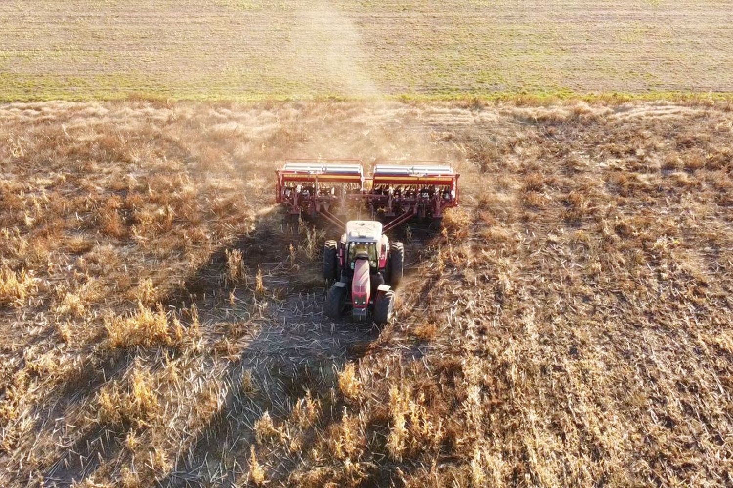 El trigo entrerriano dejó cortezas de 6.000 kilos por hectárea con un piso de 1.500 y un promedio de 3.600