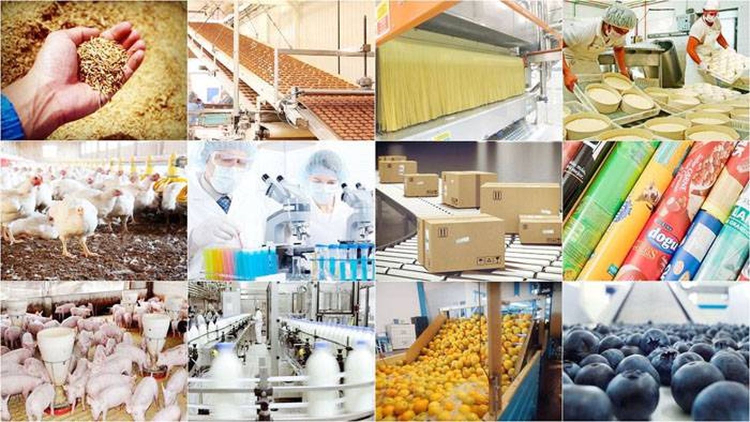 La industria entrerriana, ante la prioridad de asegurar la producción