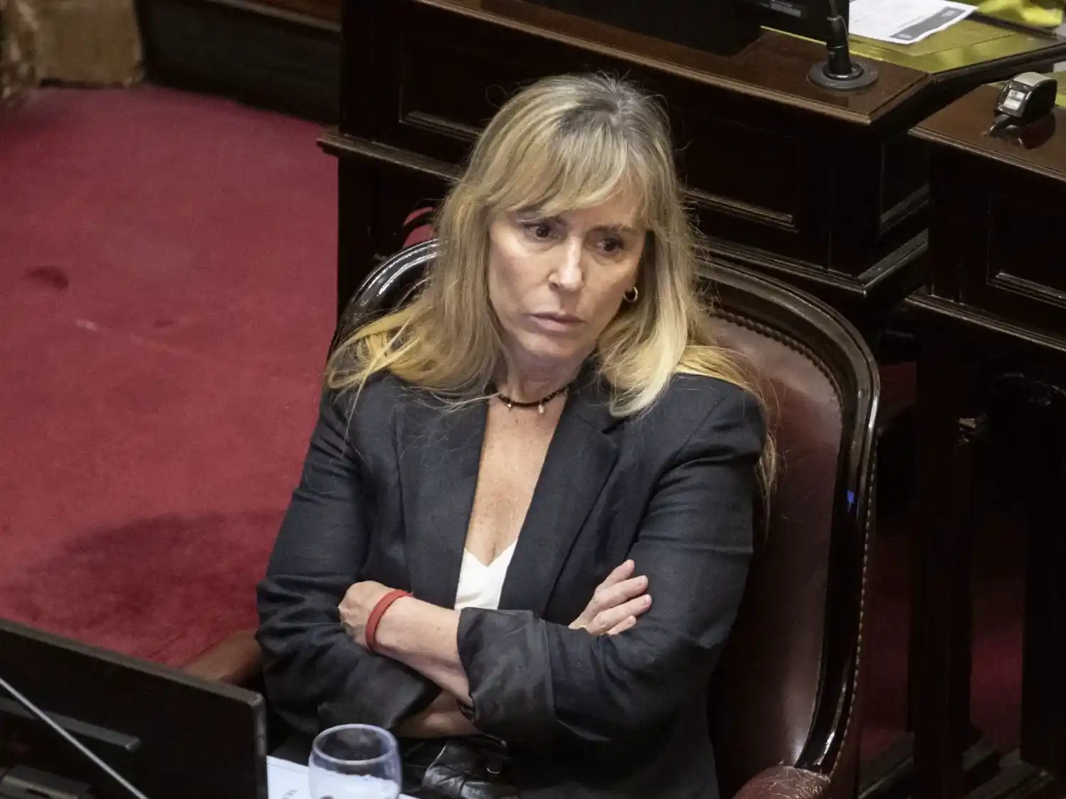 La senadora del PJ Juliana Di Tullio, una de las voces más críticas durante la sesión.