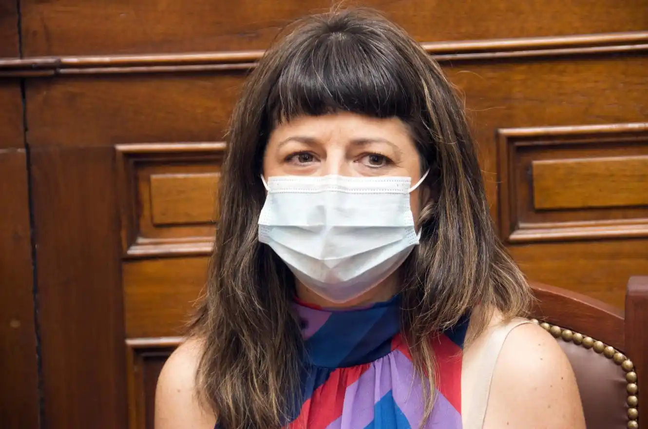 Gaillard defendió al ministro Guzmán: “No podés tener funcionarios que estén contradiciendo las medidas”