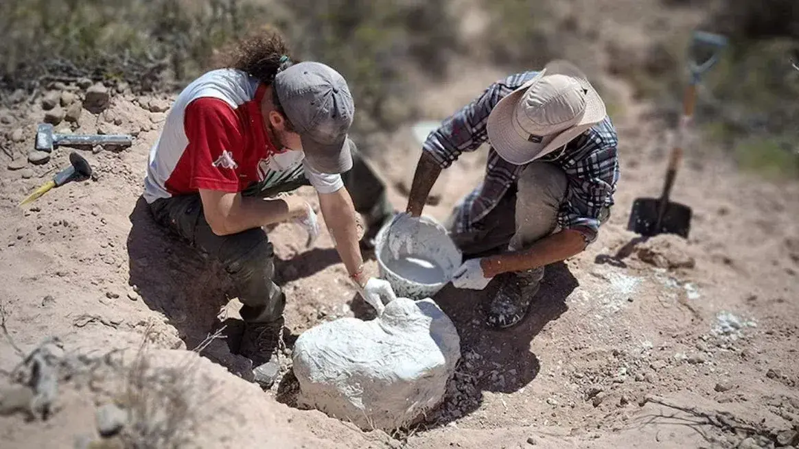 Hallazgo en la Patagonia: descubrieron fósiles de un cocodrilo terrestre de 85 millones de años