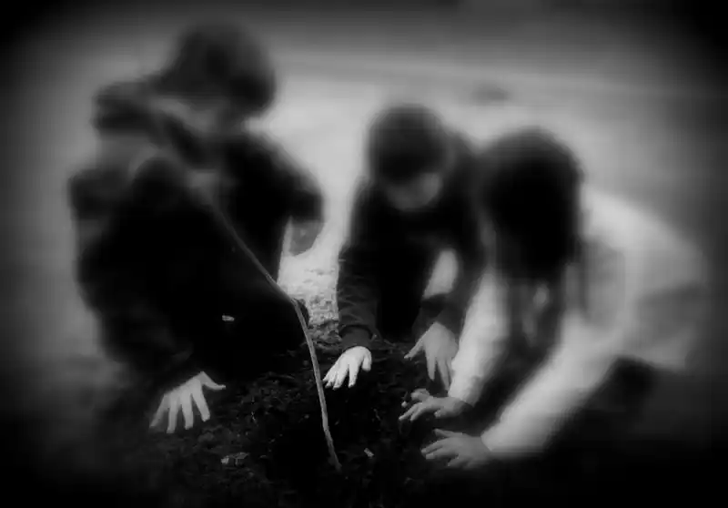 Piden un plan de recomposición ambiental sobre los lotes cedidos