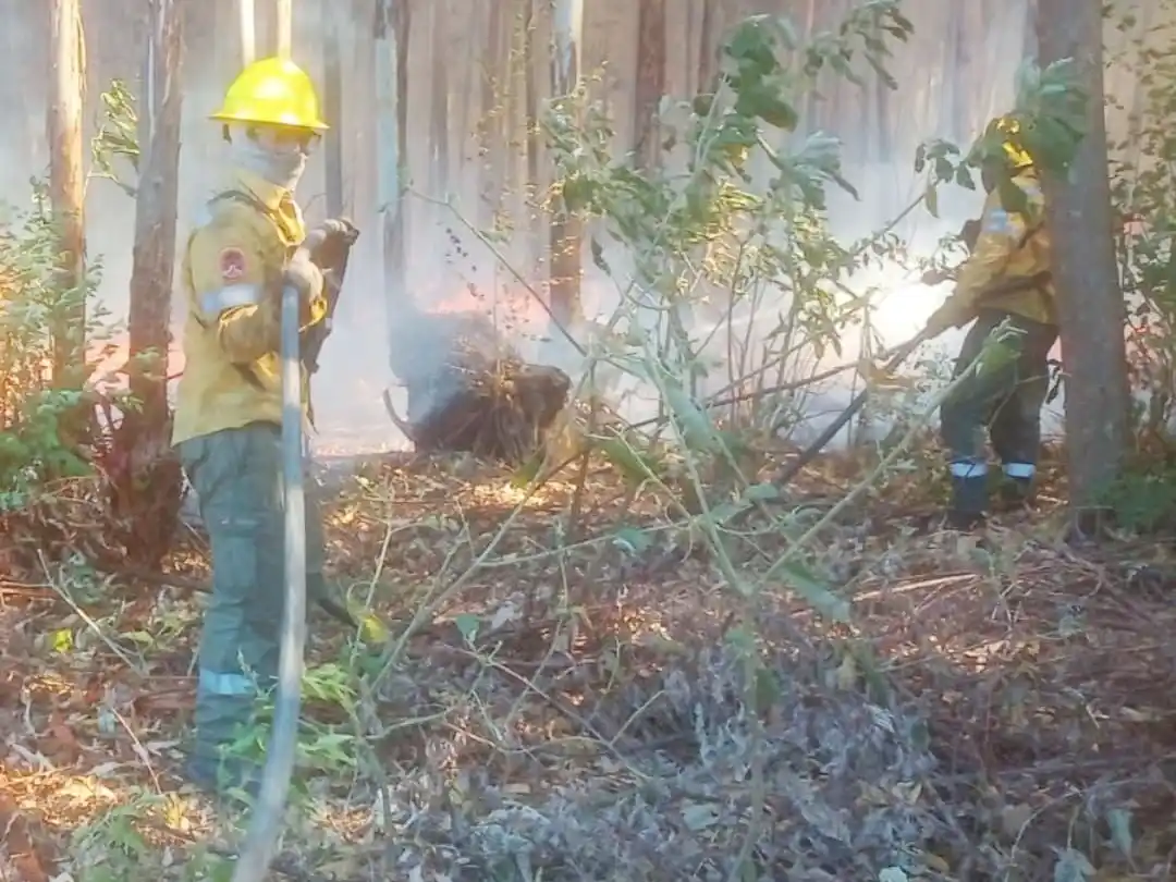 Bomberos Voluntarios controlaron los incendios en Concordia