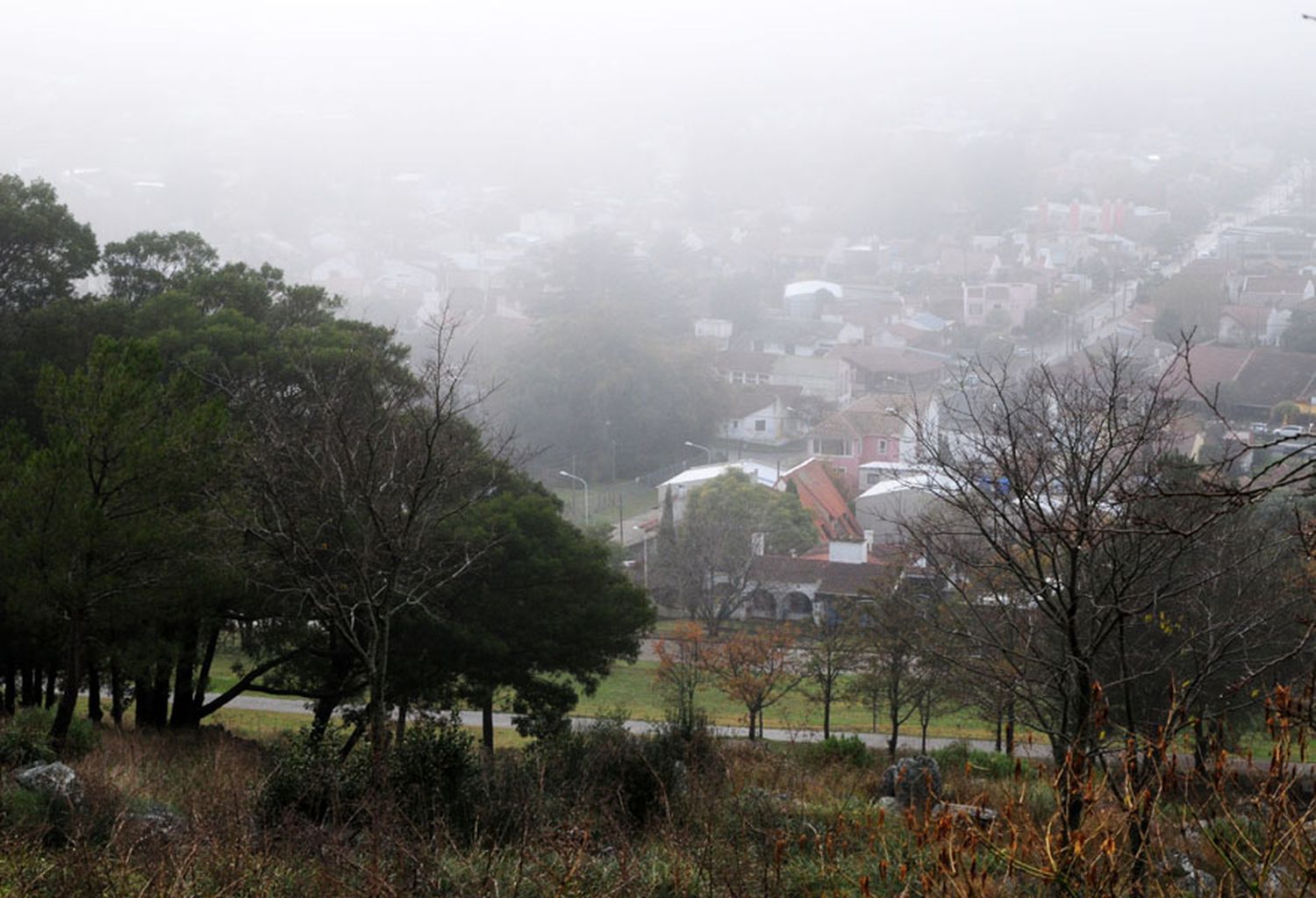 Fuerte tormenta durante la madrugada con ráfagas de hasta 60 km/h