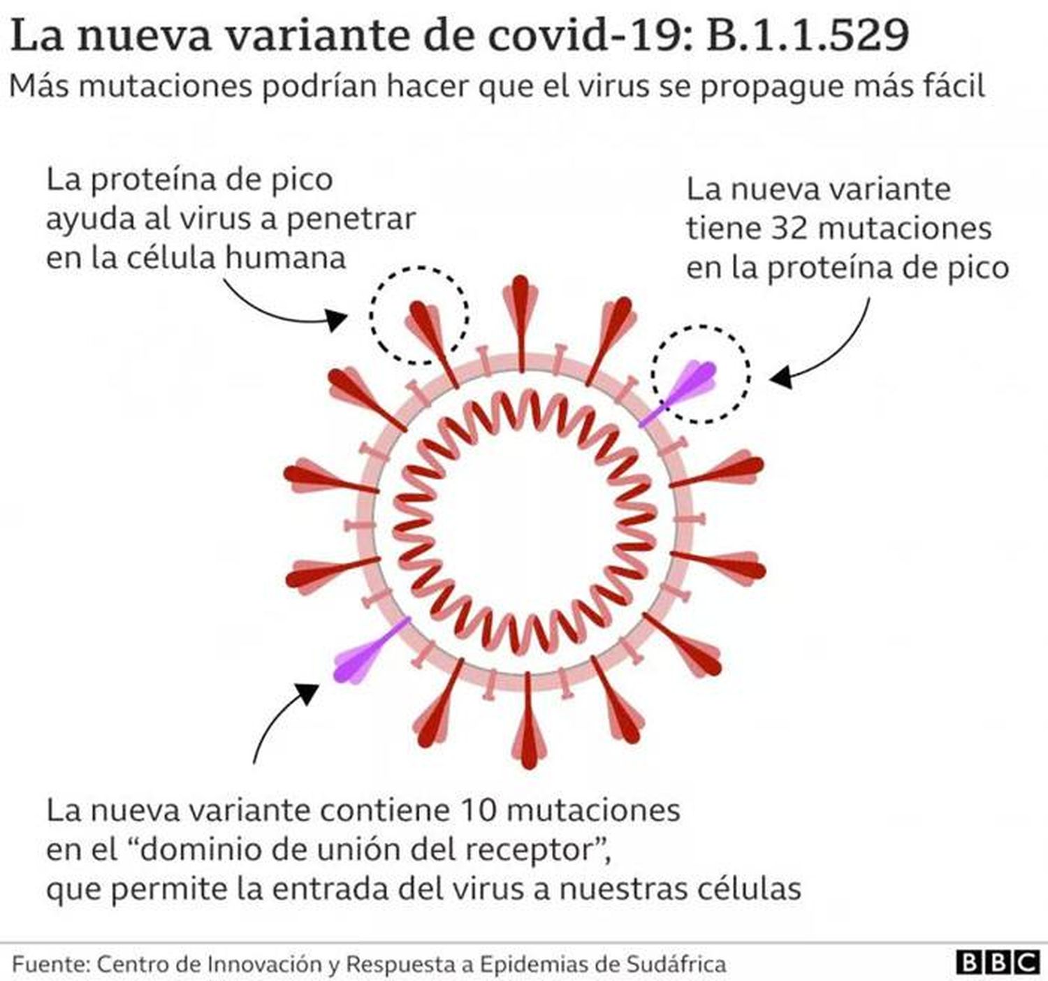 Las 5 preguntas más buscadas en Google