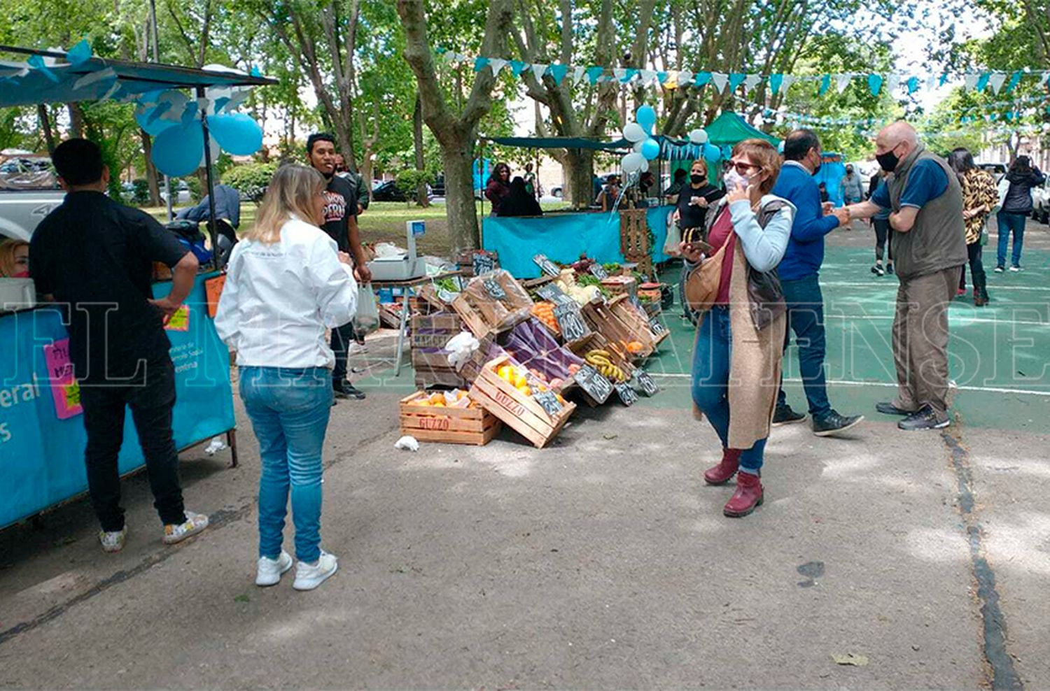 Desarrollo Social de la Nación: "El año pasado podíamos trabajar con la oposición"