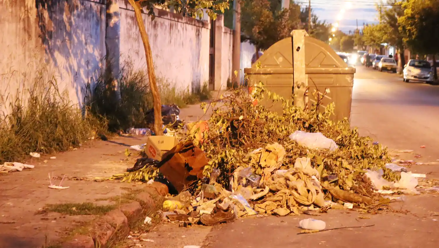 Proliferación de pastizales en zona de una concurrida escuela