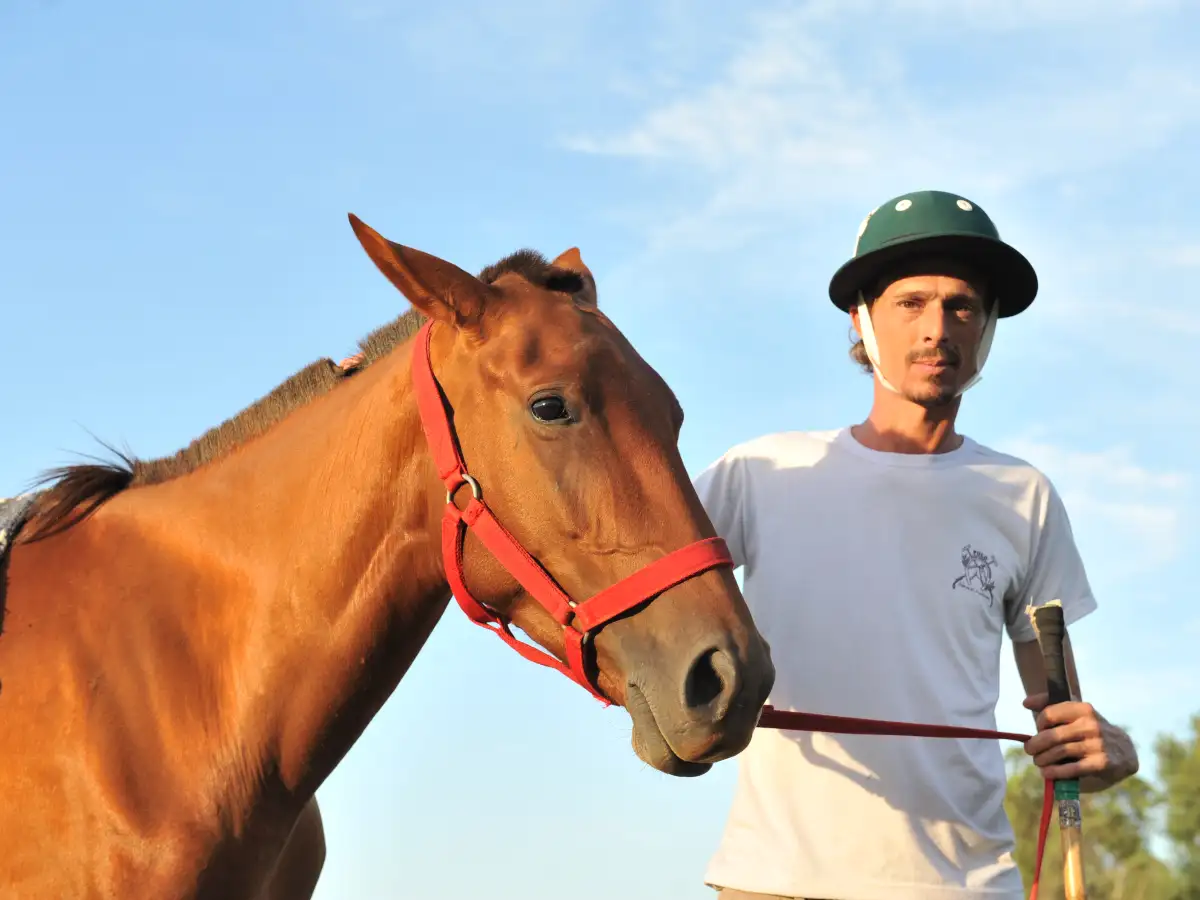 Polo positivo