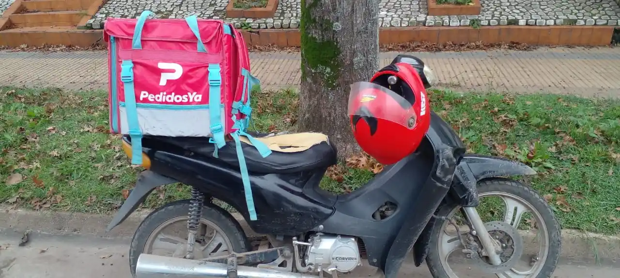 Accidente venado - 1