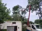 Altinier detalló el trabajo realizado antes, durante y después de la tormenta.