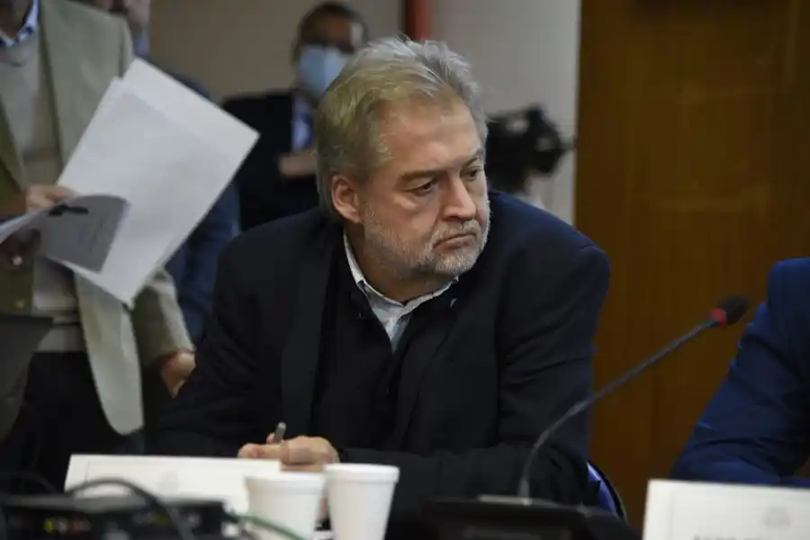 Mirabella participó de la Comisión de Mercosur en Diputados: "Siempre con una defensa activa de los intereses de la Provincia"