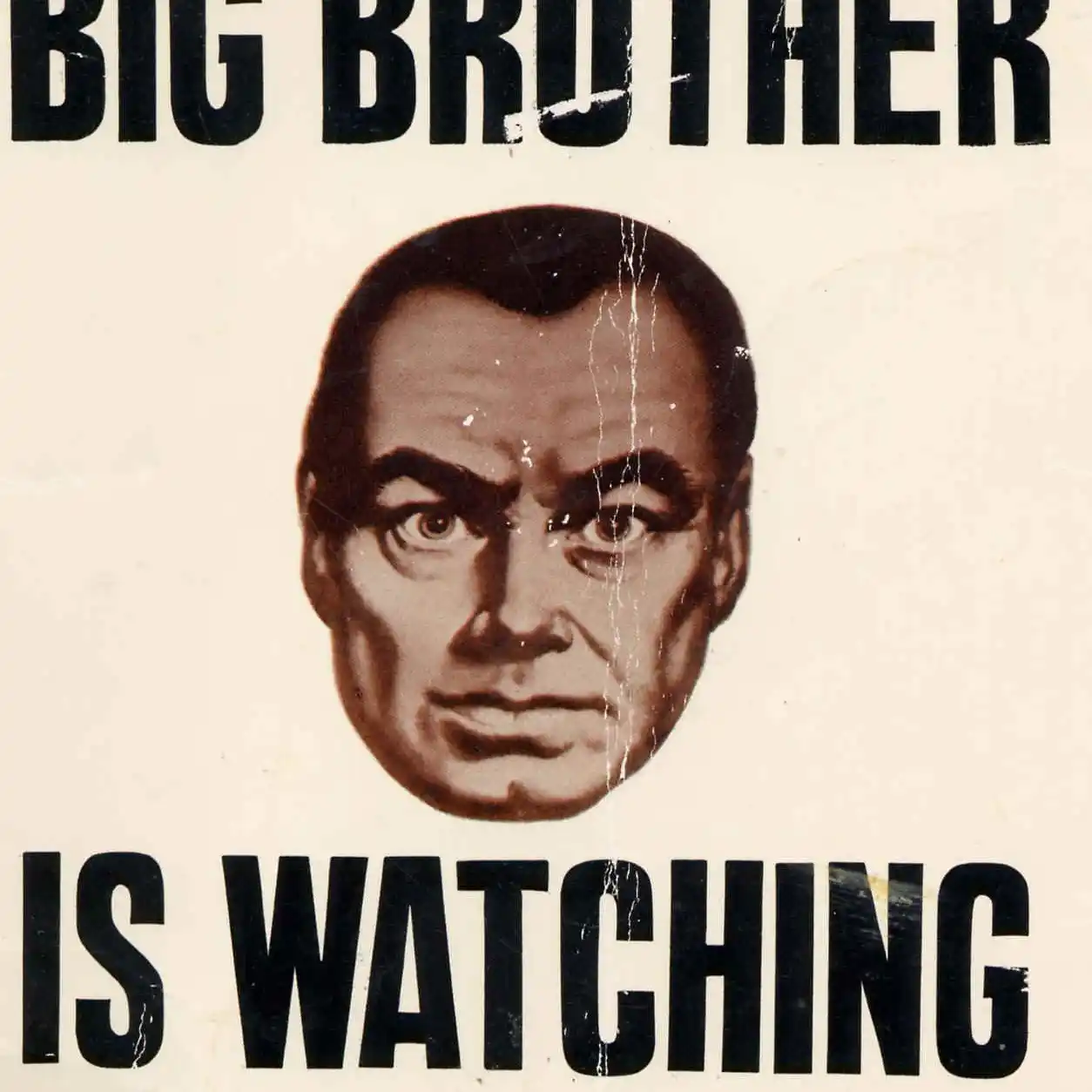 El Gran Hermano de la galleta