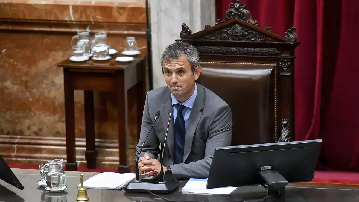 Martín Menem confirmó que el Gobierno bajará la edad de imputabilidad.