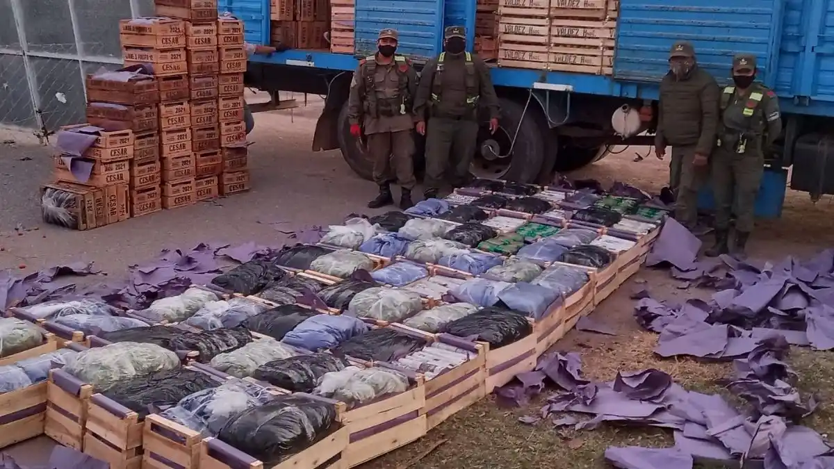 Decomisan 500 kilos de hojas de coca escondidos en cajones de verduras