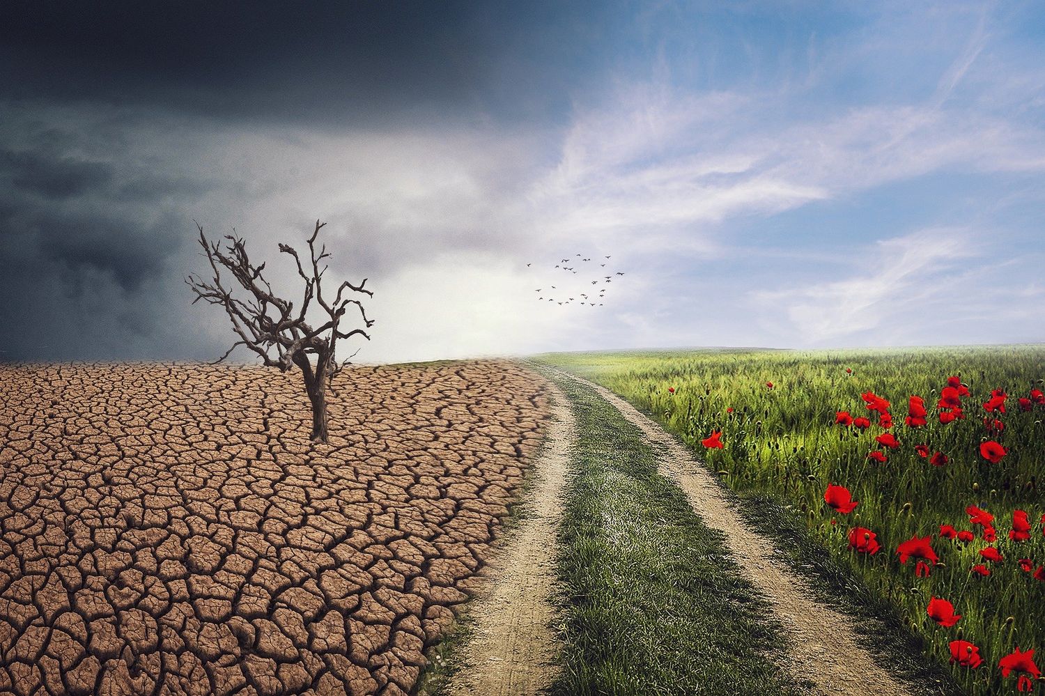 Cambio climático: aquí y ahora