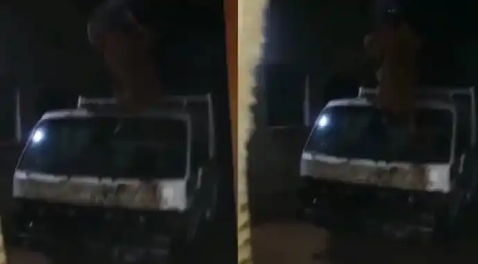 El clip fue grabado por una persona que, alertado por el extraño llanto de su mascota, se dirigió a la ventana para ver qué era lo que estaba sucediendo afuera de su casa.