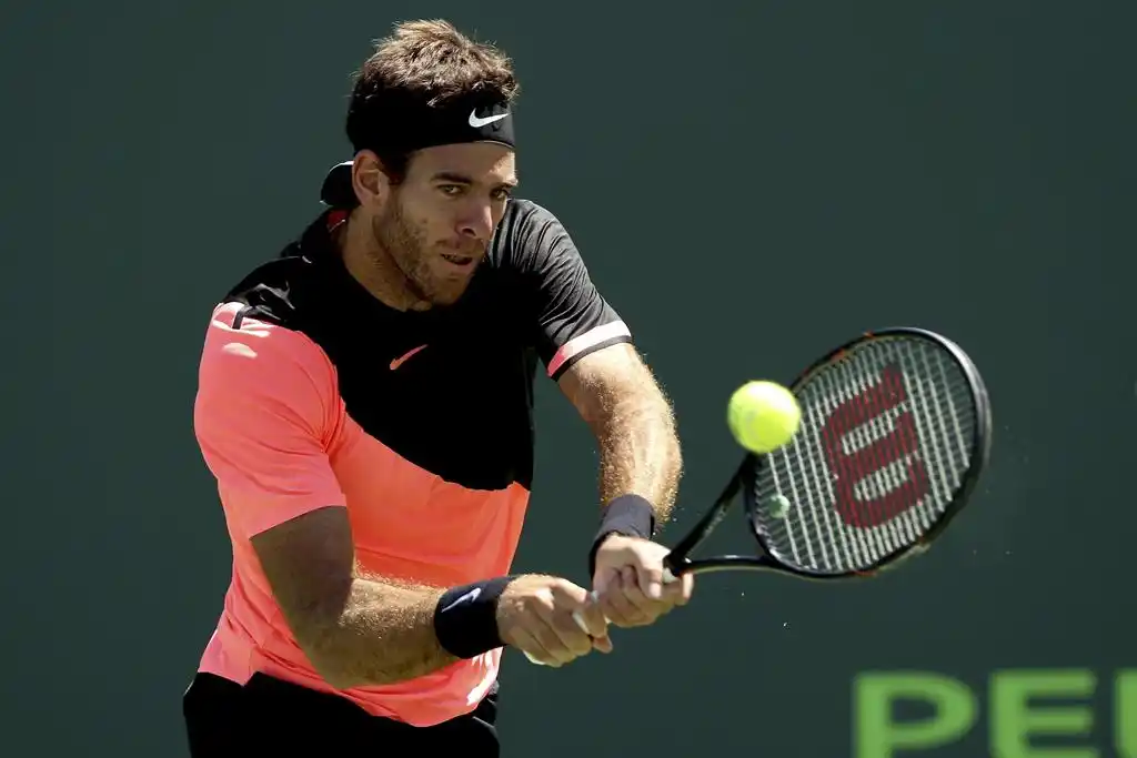 Del Potro relativiza la  importancia de ser el 1
