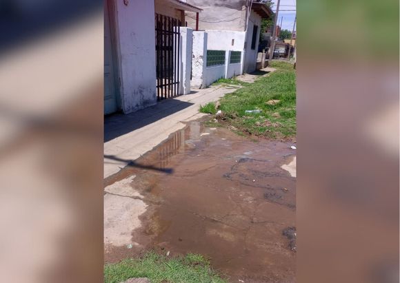 Sin árboles y con la vereda inundada
