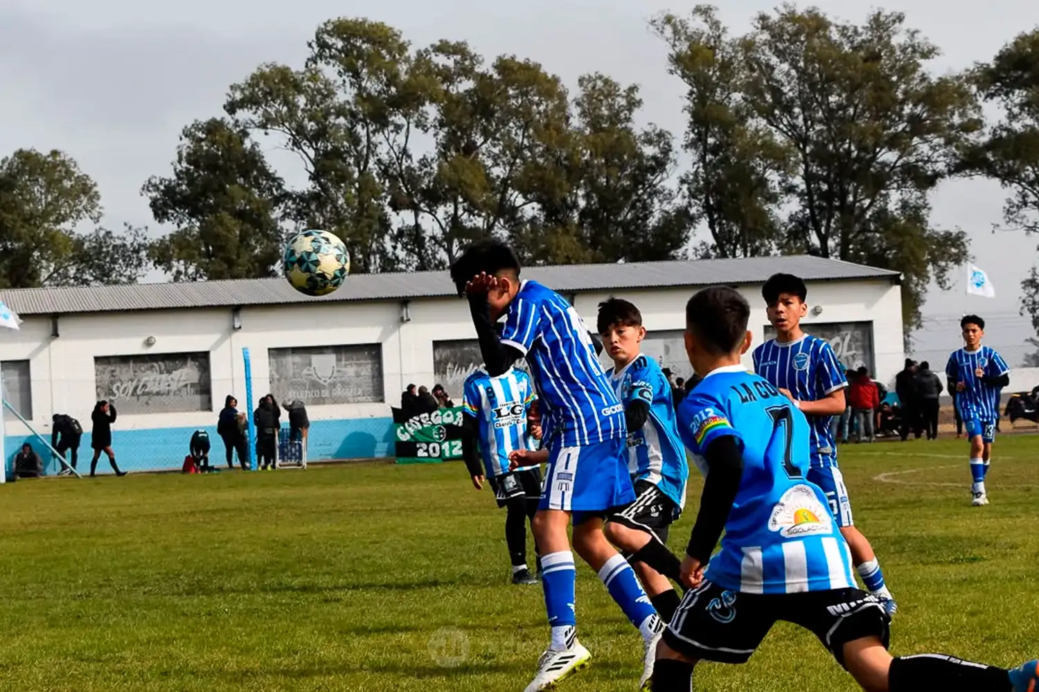 sueño celeste ale boetto pablo scarafia - 5
