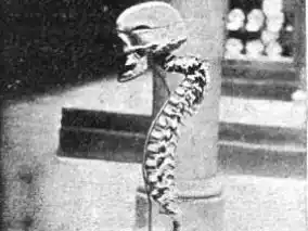 Esqueleto de Domingo Parodi, expuesto en 1902 en el Museo de La Plata. Imagen de la revista Caras y Caretas.