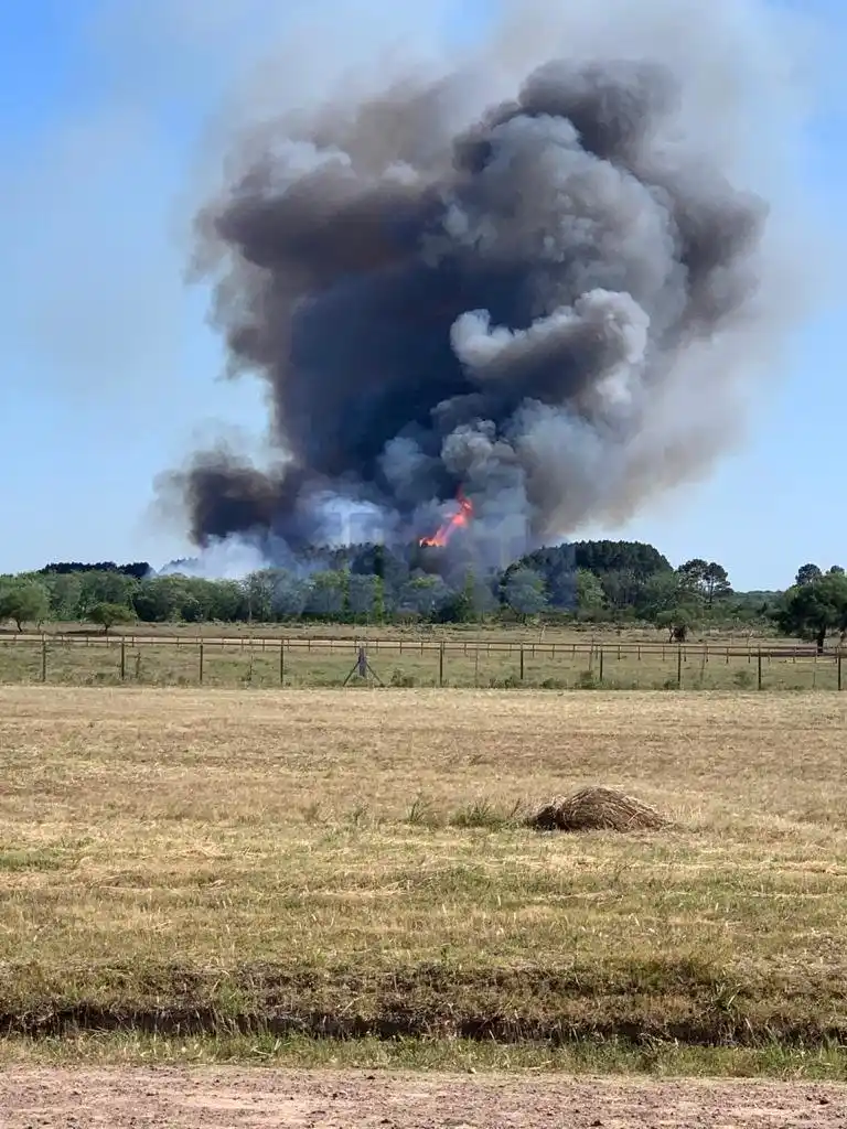 Los bomberos combatieron un gran incendio forestal en el camino a Ñandubaysal