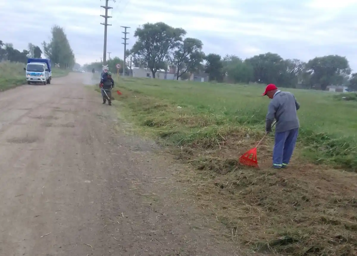 Continúan tareas de desmalezamiento y limpieza de espacios verdes
