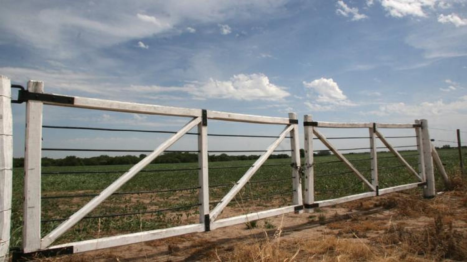 Roban electrodomésticos y una garrafa en un campo de Villa Cañás